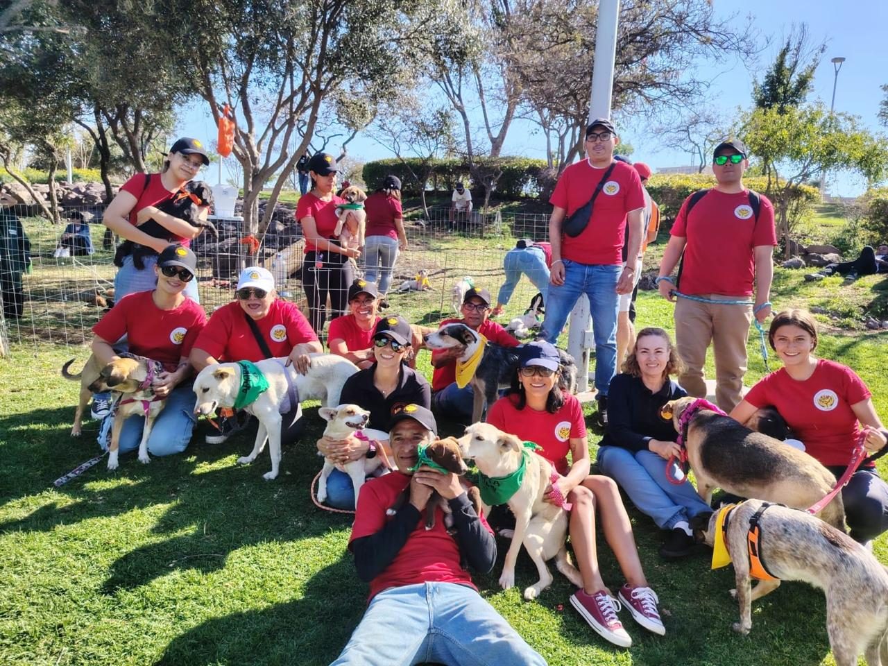 Grupo de voluntarios de LIBRA Refugio rodeados de perros rescatados