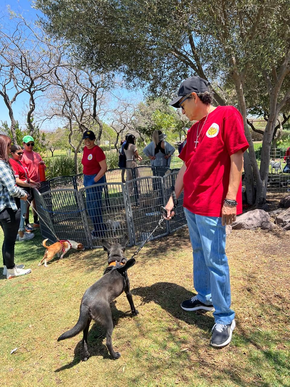 Voluntario acompañando a un perro adoptable durante una feria
