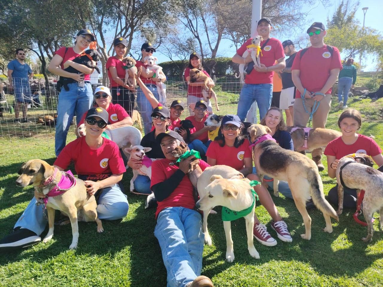 Voluntarios conviviendo con los perros del refugio durante una jornada