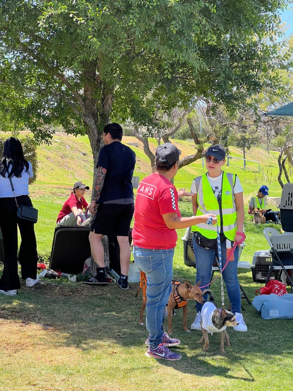 Equipo de LIBRA Refugio atendiendo a las personas que llegan a la feria de adopción