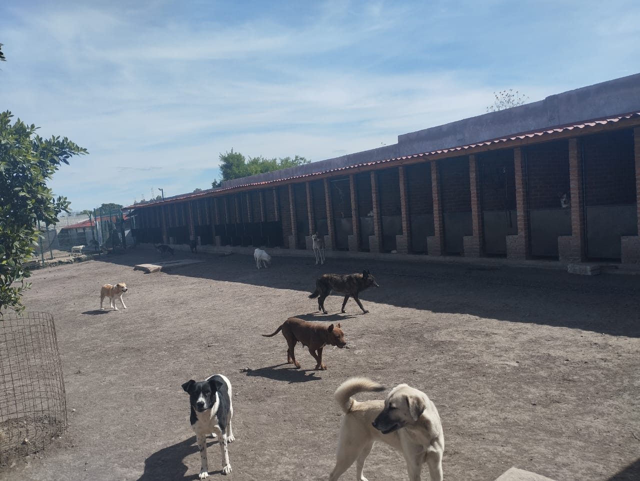Corredor de las instalaciones del refugio de LIBRA en Querétaro