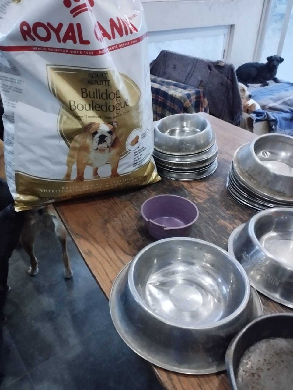 Alimento donado y platos limpios listos para el reparto del día en el refugio